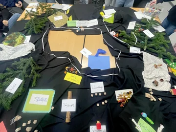 Planungsgrundlage für die Entwicklung des Planspiels NaturErbe