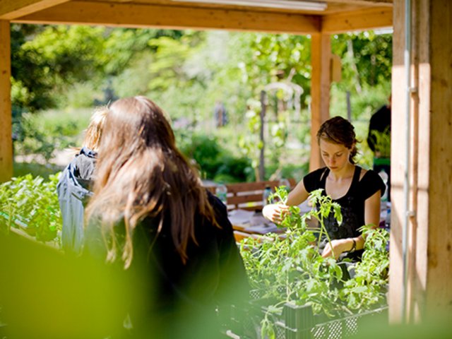 Im Ökologischen Lerngarten der Pädagogischen Hochschule Karlsruhe. Foto: Stefan Held / Pädagogische Hochschule Karlsruhe 