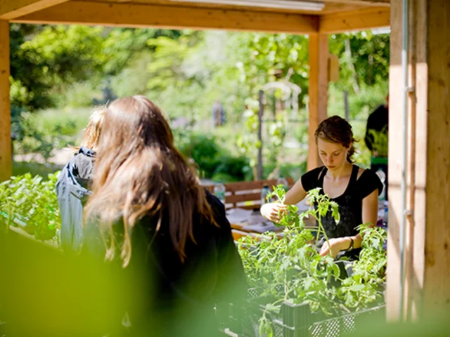 Im Ökologischen Lerngarten der Pädagogischen Hochschule Karlsruhe. Foto: Stefan Held / Pädagogische Hochschule Karlsruhe 