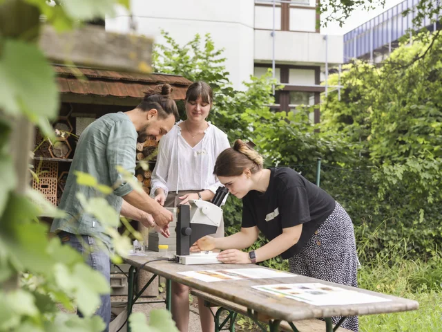 Biodiversität und ökologische Bildung: Diesen erfolgreichen Masterstudiengang hat die PHKA jetzt weiterentwickelt. Foto: PHKA/Fabry © Die kostenfreie Verwendung des Fotos ist ausschließlich für journalistische Zwecke in Verbindung mit der Pressemitteilung sowie unter Angabe der Quelle gestattet. 