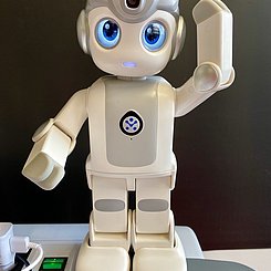 Der humanoide Roboter Toni