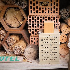 (K)ein Insektenhotel