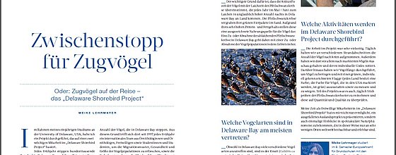 Artikel als Bildvorschau